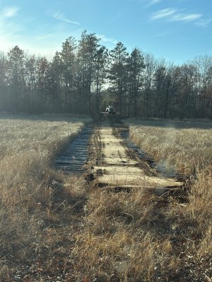 IMG_3519.JPG IMG_3519.JPG