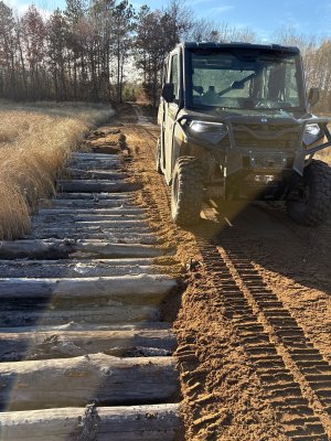 IMG_3513.JPG IMG_3513.JPG