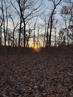 IMG_7894.jpeg IMG_7894.jpeg