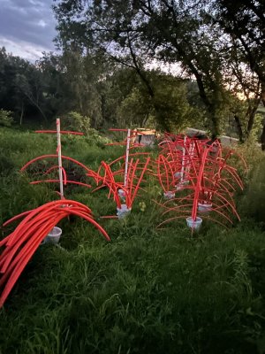 IMG_1878.jpeg IMG_1878.jpeg