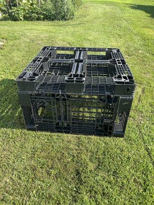 IMG_1901.jpeg IMG_1901.jpeg