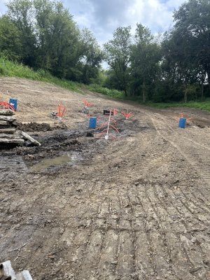 IMG_1982.jpeg IMG_1982.jpeg