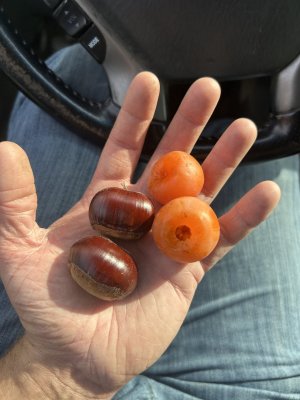 IMG_2540.jpeg IMG_2540.jpeg