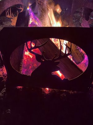 IMG_7969.jpeg IMG_7969.jpeg