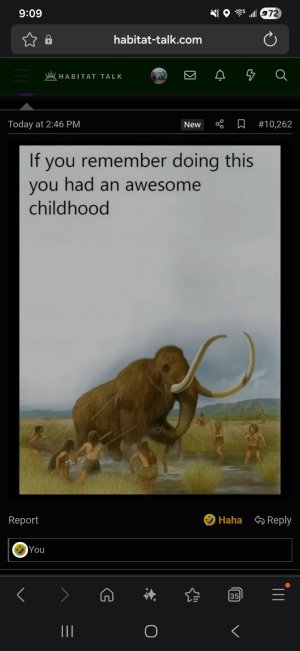 Screenshot_20251119_210919_Samsung Internet.jpg