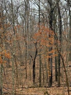 IMG_7970.jpeg IMG_7970.jpeg