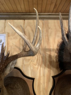 IMG_6065.jpeg IMG_6065.jpeg