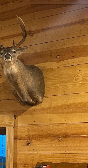 IMG_9236.jpeg IMG_9236.jpeg