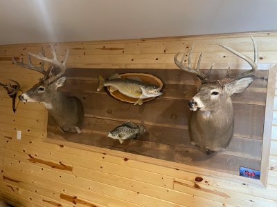 IMG_2335.jpeg IMG_2335.jpeg