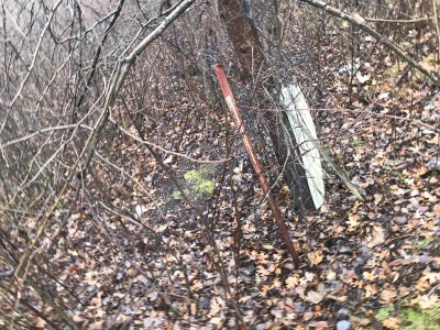 EFCDF195-E60B-4F7F-B76A-804348145550.jpeg EFCDF195-E60B-4F7F-B76A-804348145550.jpeg