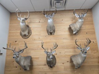 20250922_165835 (Phone).jpg