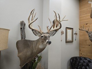 20250922_165851 (Phone).jpg