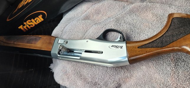 Screenshot_20251121_141500_Gallery.jpg Screenshot_20251121_141500_Gallery.jpg