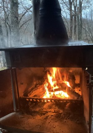 IMG_1667.jpeg IMG_1667.jpeg