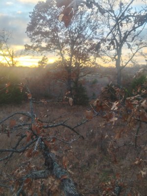 20251122_163310_HDR.jpg 20251122_163310_HDR.jpg