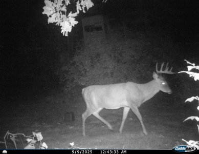 I__00075.JPG I__00075.JPG