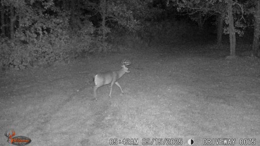 WGI_0075.JPG WGI_0075.JPG