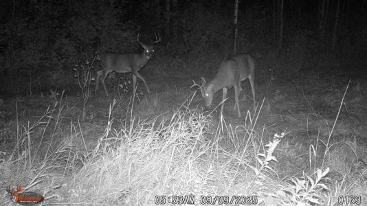 WGI_0163.JPG WGI_0163.JPG