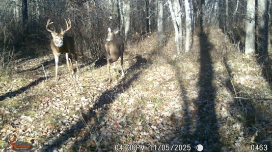 IMG_3919.jpeg IMG_3919.jpeg