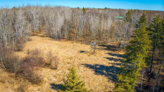 field.webp field.webp