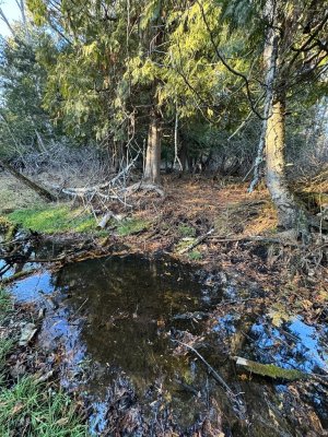 IMG_6735.JPEG IMG_6735.JPEG