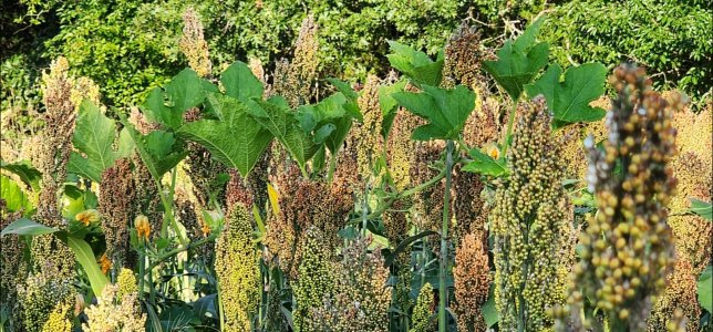 Screenshot_20251129_091629_Gallery.jpg Screenshot_20251129_091629_Gallery.jpg