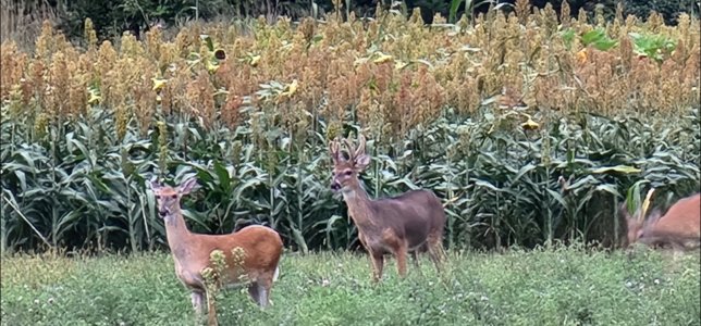 Screenshot_20251129_091712_Gallery.jpg Screenshot_20251129_091712_Gallery.jpg