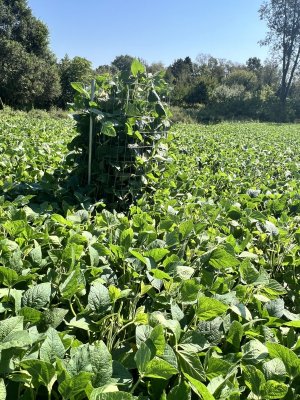 IMG_4889 (1).jpg IMG_4889 (1).jpg