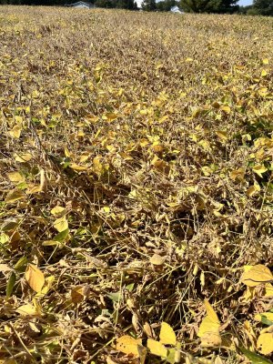 IMG_6377.jpeg IMG_6377.jpeg