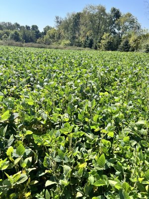 IMG_6378.jpeg IMG_6378.jpeg