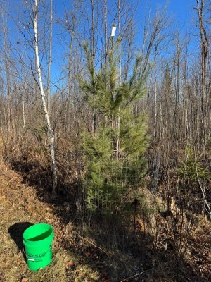 IMG_6788.JPEG IMG_6788.JPEG