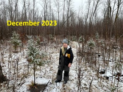 IMG_8644.JPEG IMG_8644.JPEG