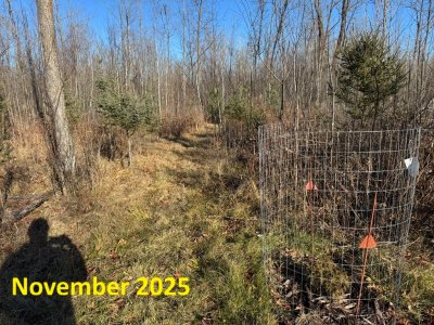 IMG_6787.JPEG IMG_6787.JPEG