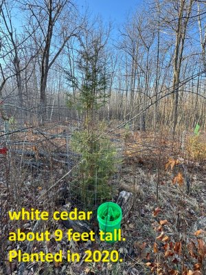 IMG_6765.JPEG IMG_6765.JPEG