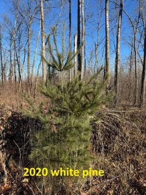 IMG_6773.JPEG IMG_6773.JPEG