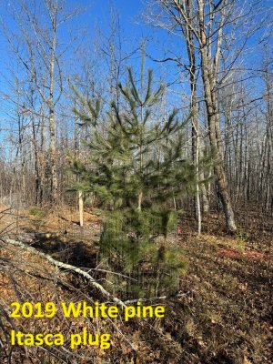 IMG_6790.JPEG IMG_6790.JPEG