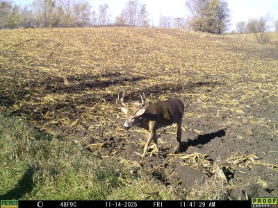 138046581511103440.jpeg 138046581511103440.jpeg