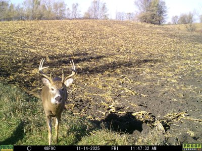 4521650615416590125.jpeg 4521650615416590125.jpeg