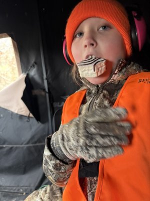 1764678881339.jpeg 1764678881339.jpeg