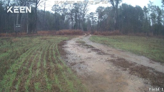 IMG_7440.jpeg IMG_7440.jpeg