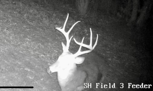 IMG_7424.jpeg IMG_7424.jpeg