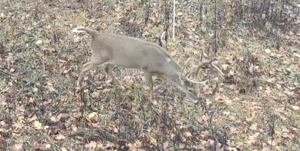 IMG_7445.jpeg IMG_7445.jpeg