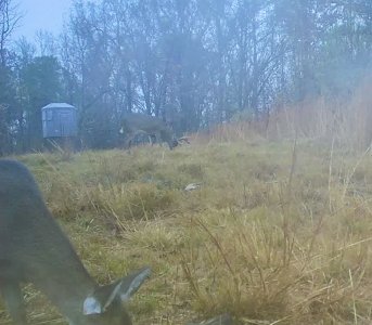 865509050561335-100-4-12052025072024-HD-SYEW1537.jpeg 865509050561335-100-4-12052025072024-HD-SYEW1537.jpeg