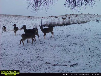 865814041673045-30-3-12042025163048-W1031334.jpeg 865814041673045-30-3-12042025163048-W1031334.jpeg