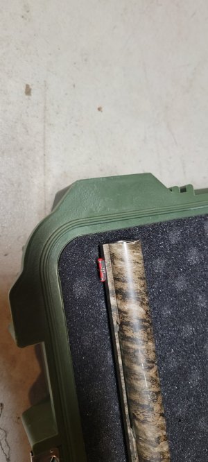 20251206_073107.jpg 20251206_073107.jpg