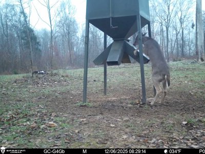 IMG_9440.jpeg IMG_9440.jpeg