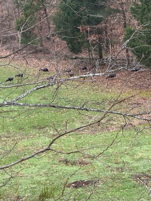 IMG_9459.jpeg IMG_9459.jpeg