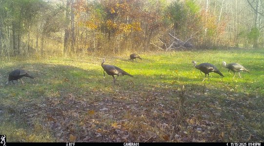 IMG_0008.jpeg IMG_0008.jpeg