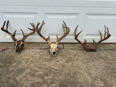 IMG_9465.jpeg IMG_9465.jpeg