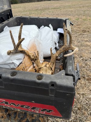 IMG_9463.jpeg IMG_9463.jpeg